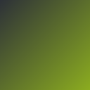 socialware's avatar